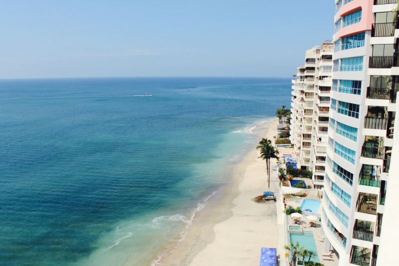 chambre-hote-LE BEAUSSET-min_beach_ocean_shore_hotel_palm_tree-33726